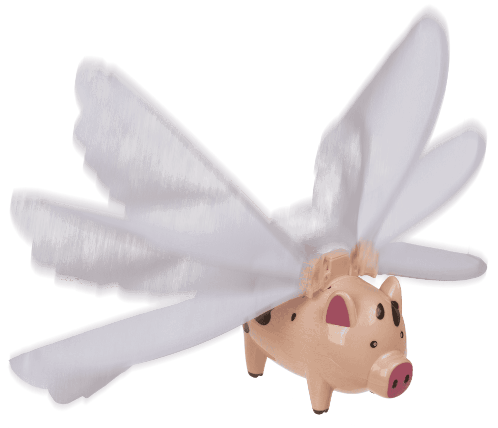 Flying Pig, 28,5 x 7 x 20 cm,