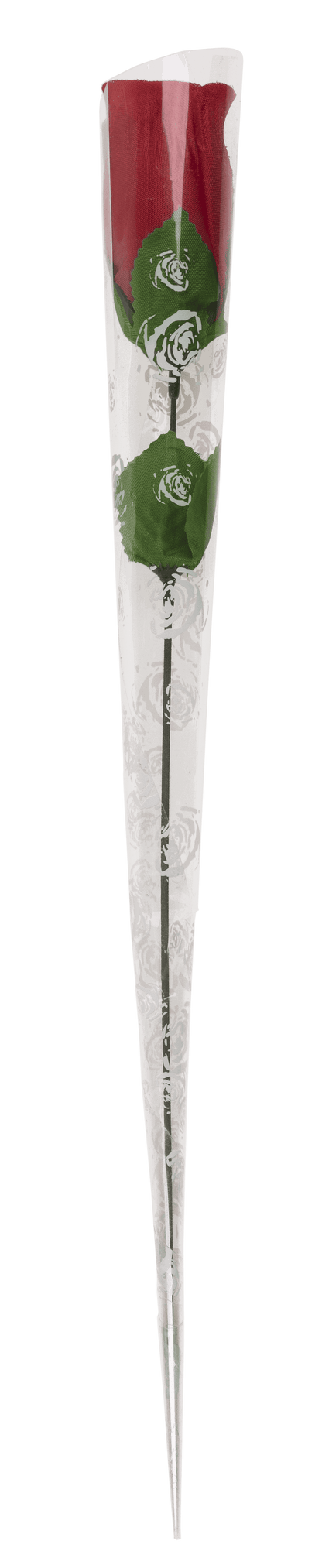 Rose with red G-string,