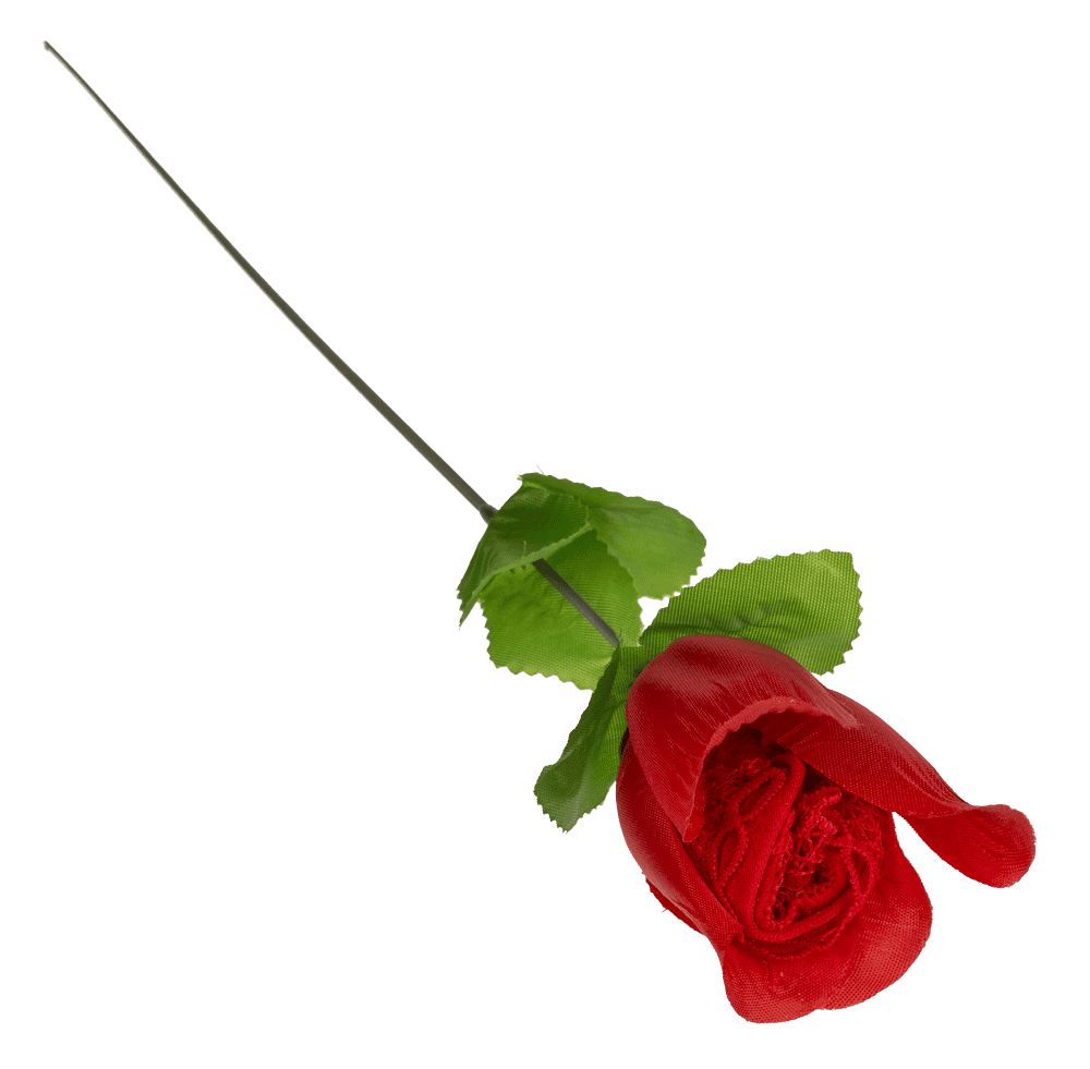Rose with red G-string,