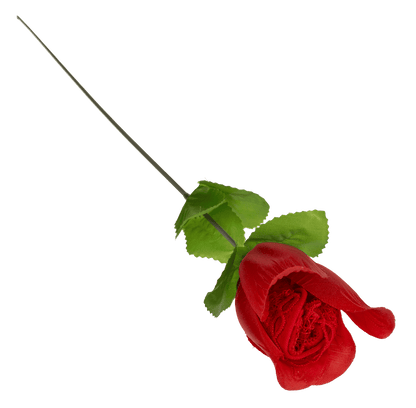 Rose with red G-string,