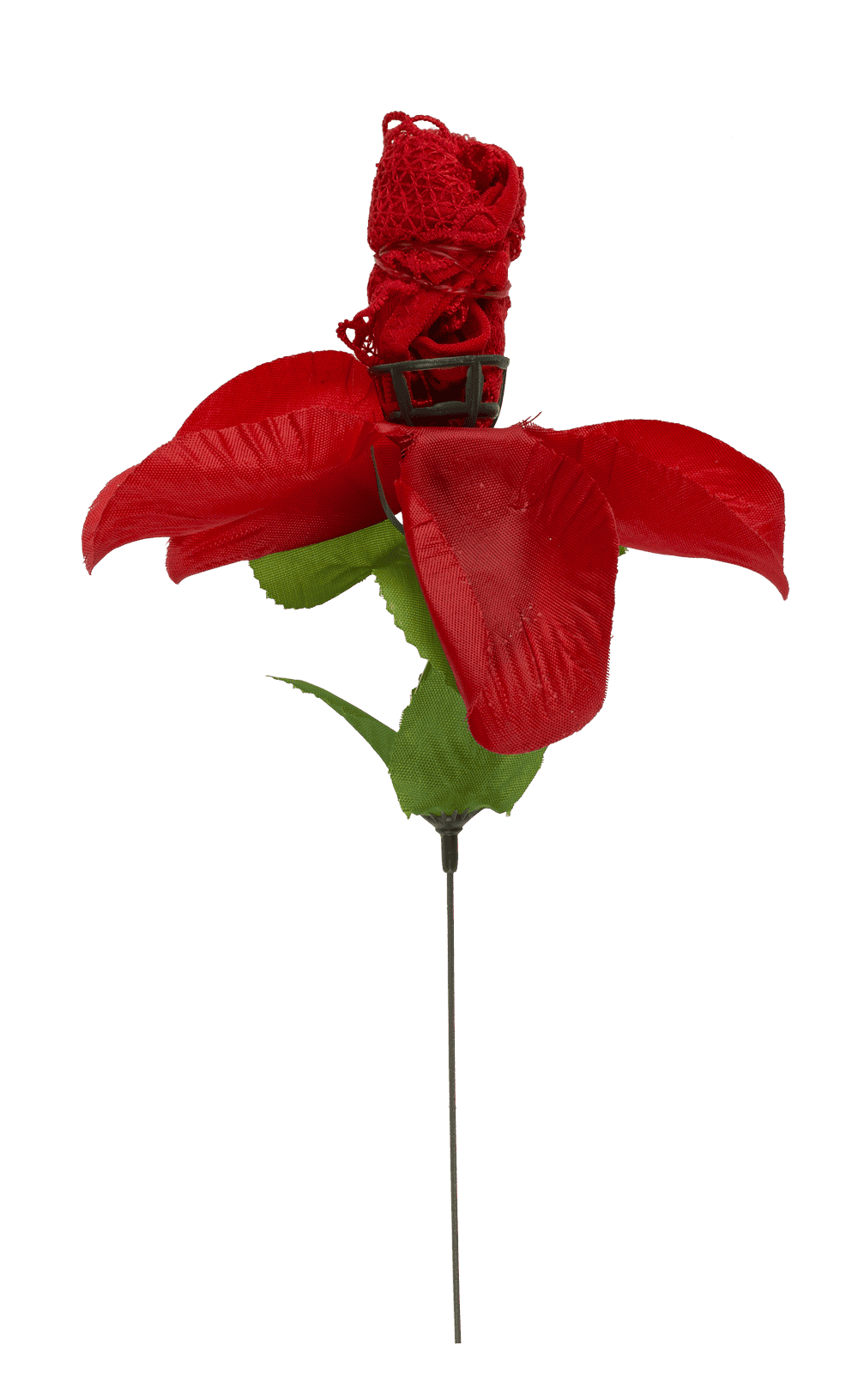 Rose with red G-string,