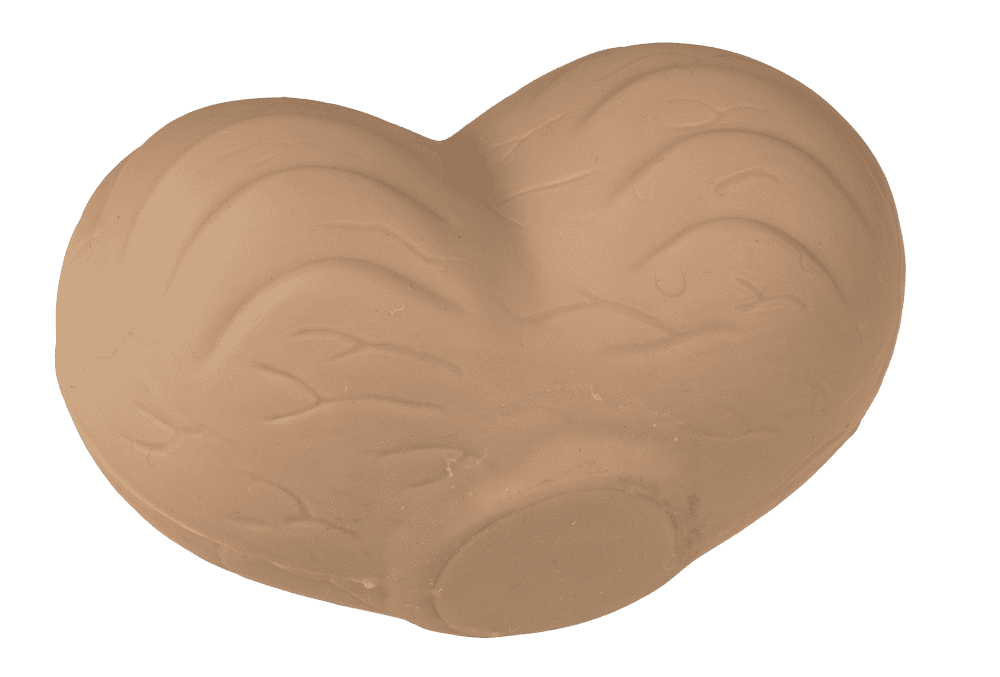 Anti Stress Ball, Testicle,