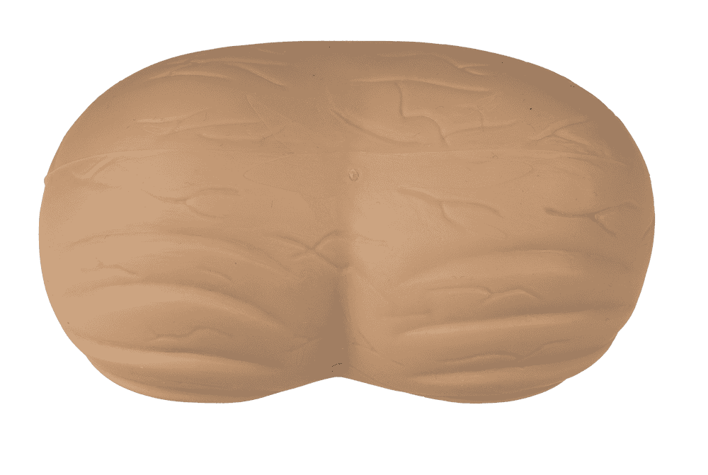 Anti Stress Ball, Testicle,