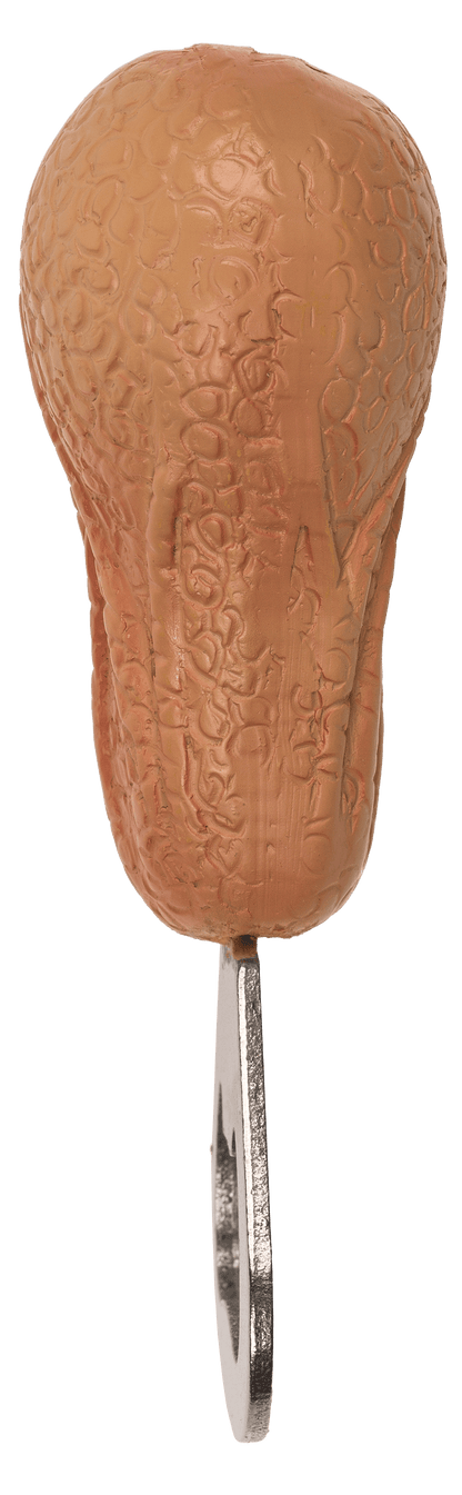 Metal bottle opener, Testicle,