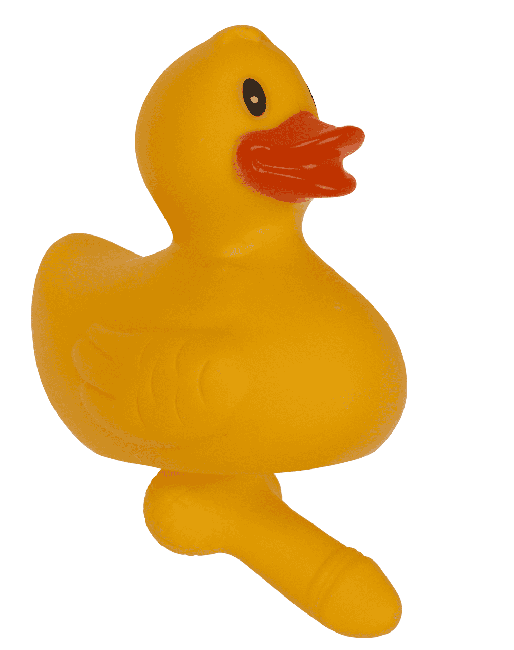 Duck with dick, X cm,
