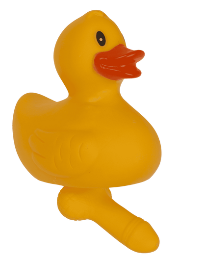 Duck with dick, X cm,