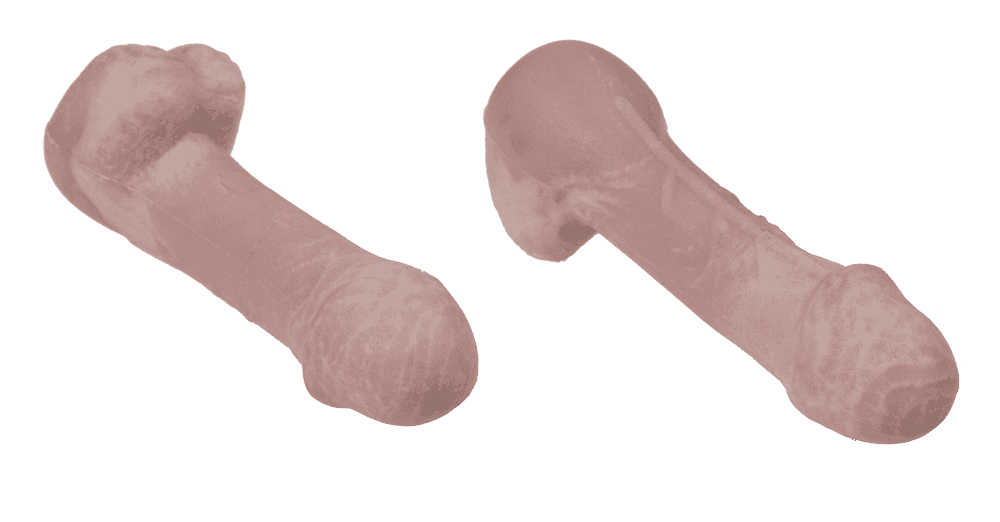 Grow your own Willy, 2,5 x 5,5 cm