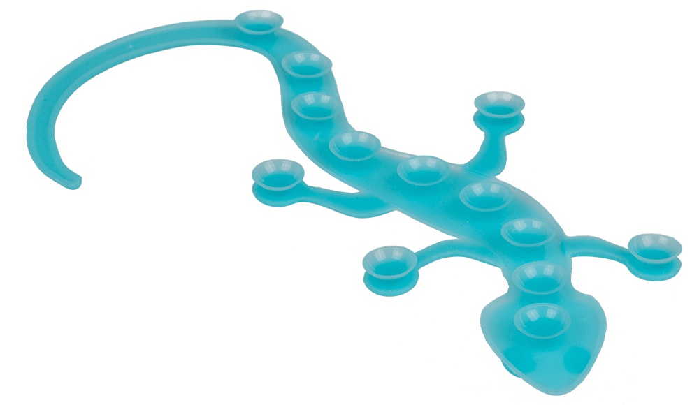Fidget Toy, Magic Suction Lizard,