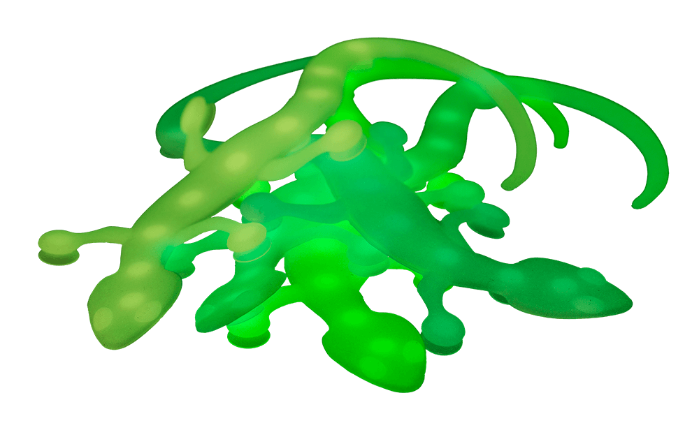 Fidget Toy, Magic Suction Lizard,