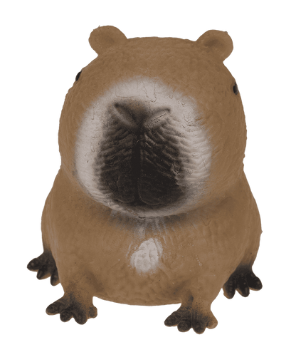 Squeezie Sand, Capybara