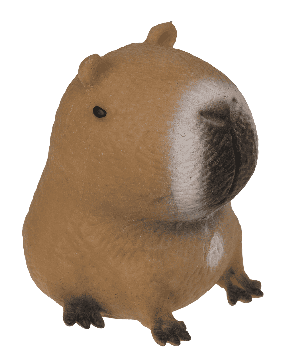 Squeezie Sand, Capybara