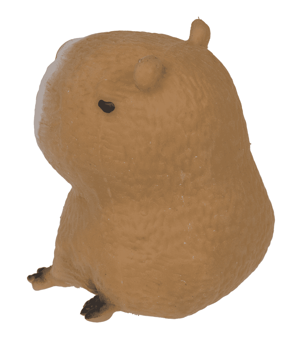 Squeezie Sand, Capybara