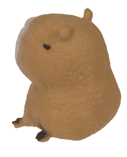 Squeezie Sand, Capybara