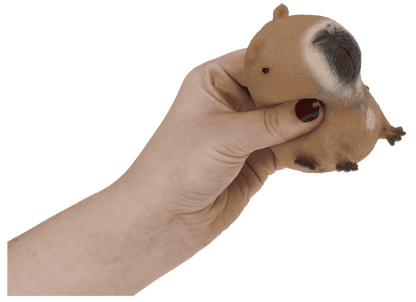 Squeezie Sand, Capybara
