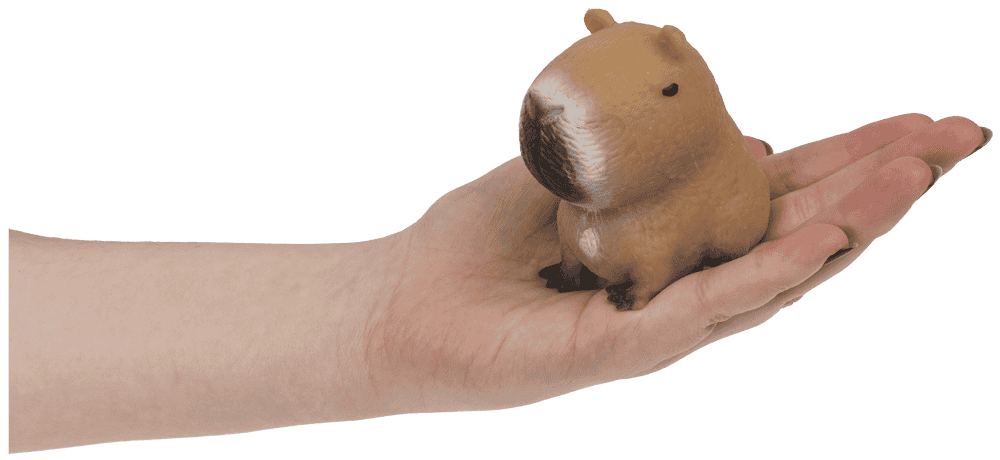 Squeezie Sand, Capybara