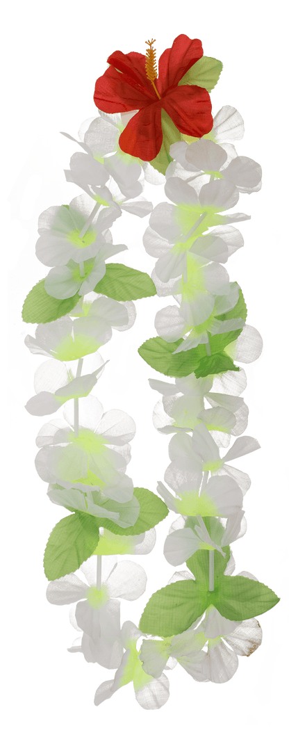 Aloha necklace, Hawaii,