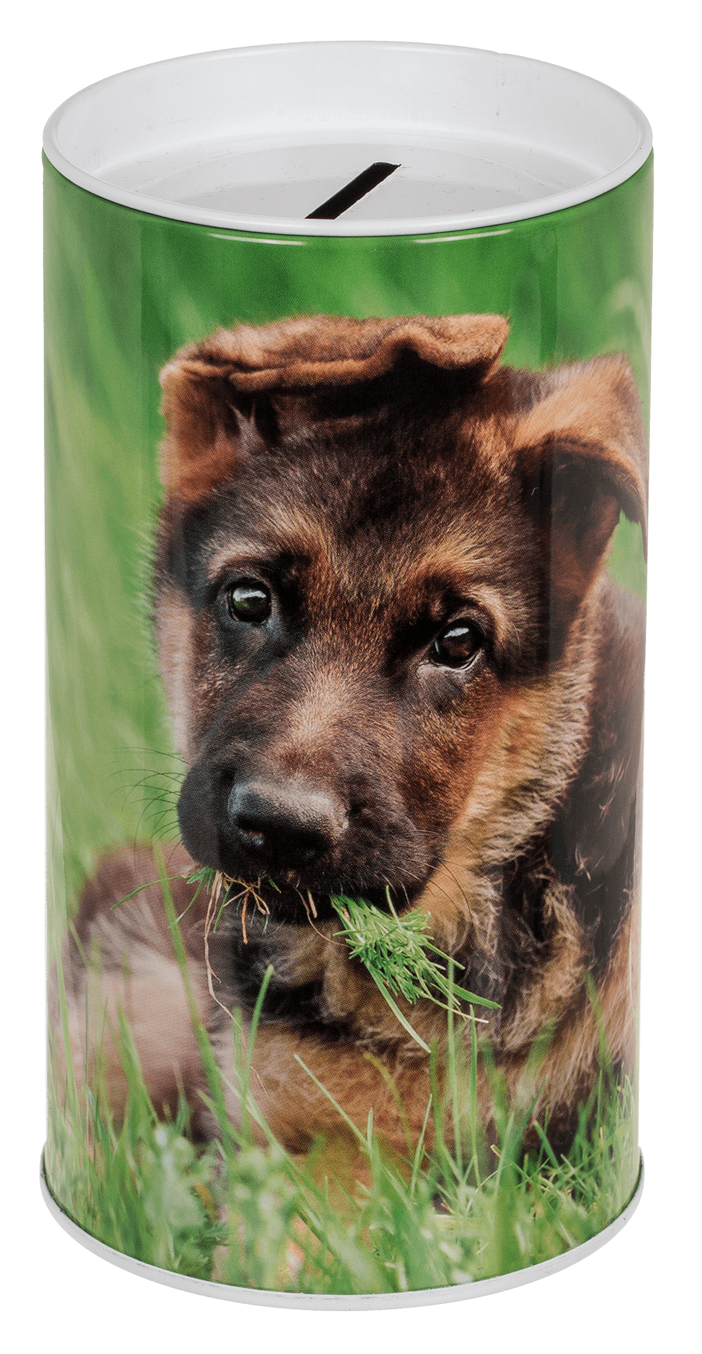 Metal Savings Box, Animals,