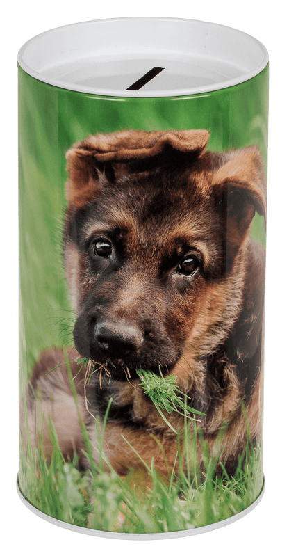 Metal Savings Box, Animals,