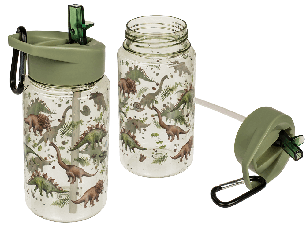 Drinking bottle, Dinosaur,