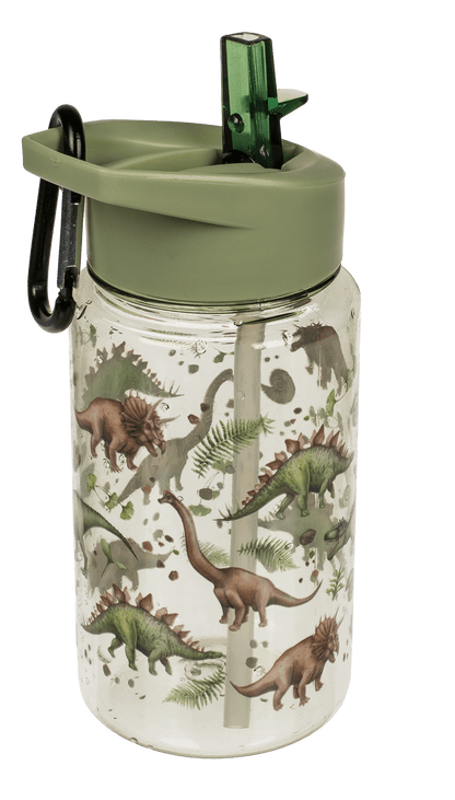 Drinking bottle, Dinosaur,
