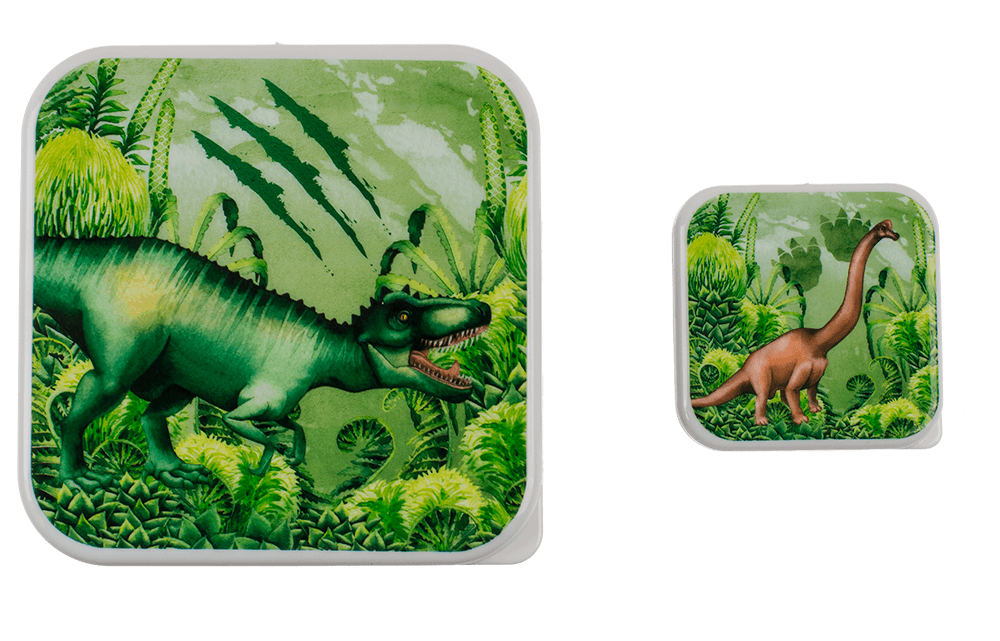 Lunch box, dinosaur, set of 4,