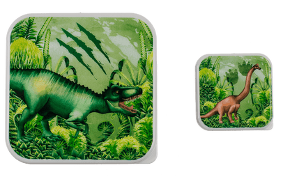Lunch box, dinosaur, set of 4,