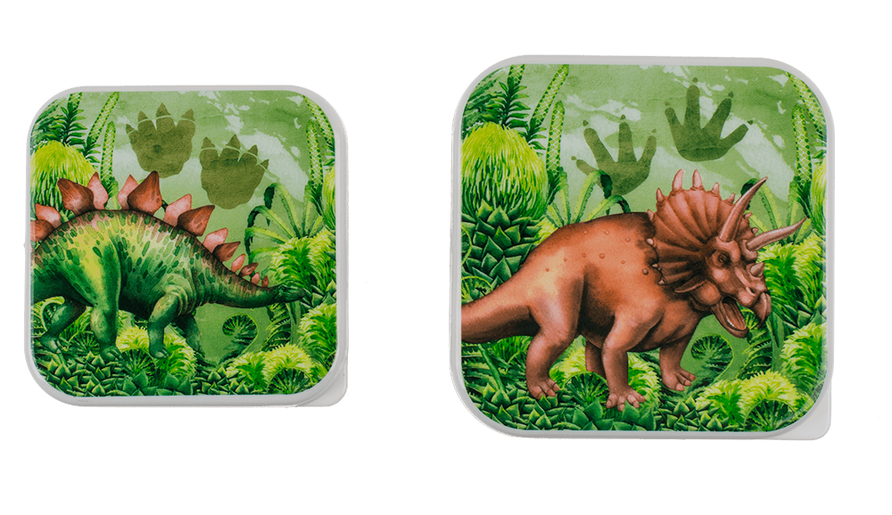 Lunch box, dinosaur, set of 4,