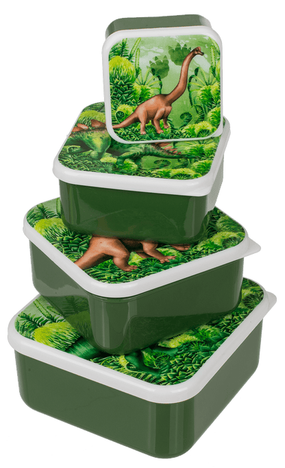 Lunch box, dinosaur, set of 4,
