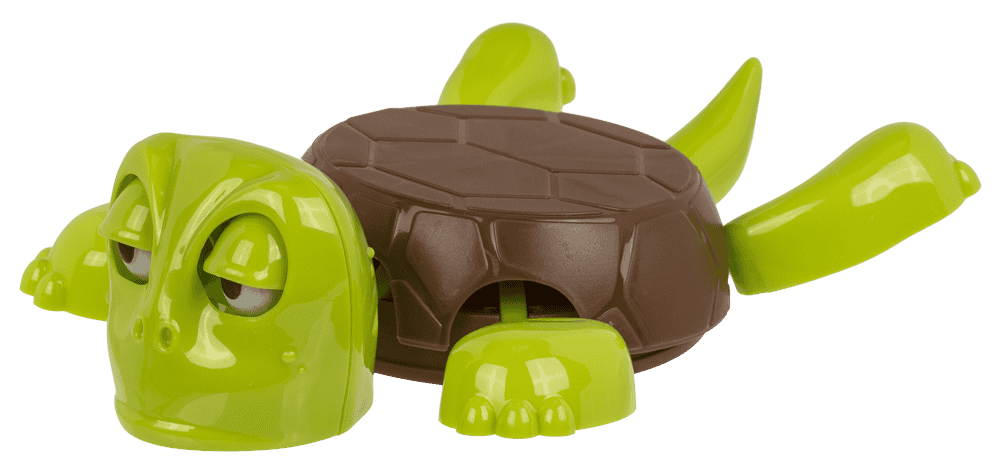 Untersetzer. lustige Schildkröte,