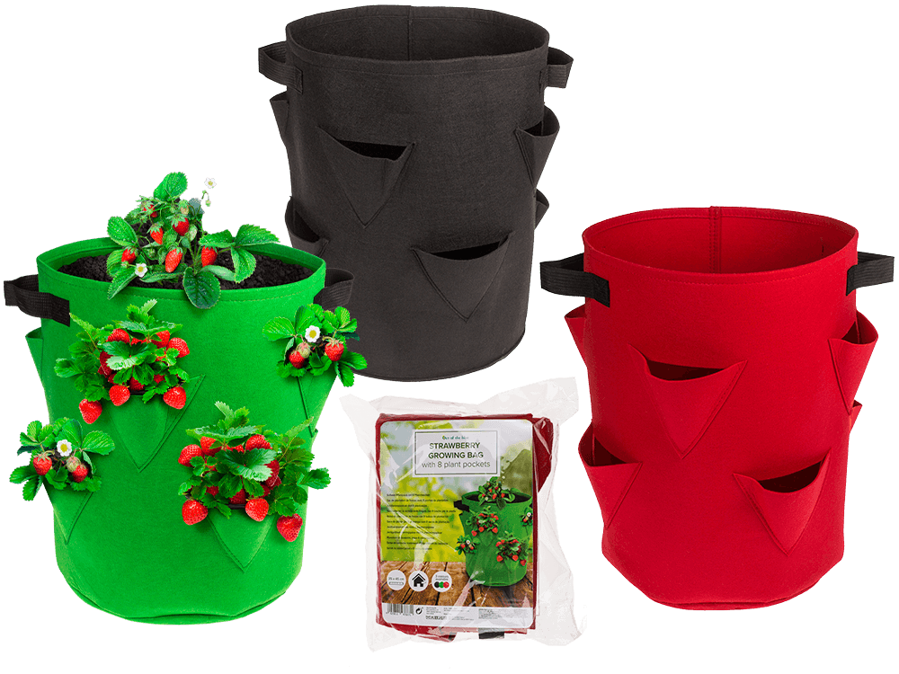 Strawberry Growing bag, with 8 plant pockets,
