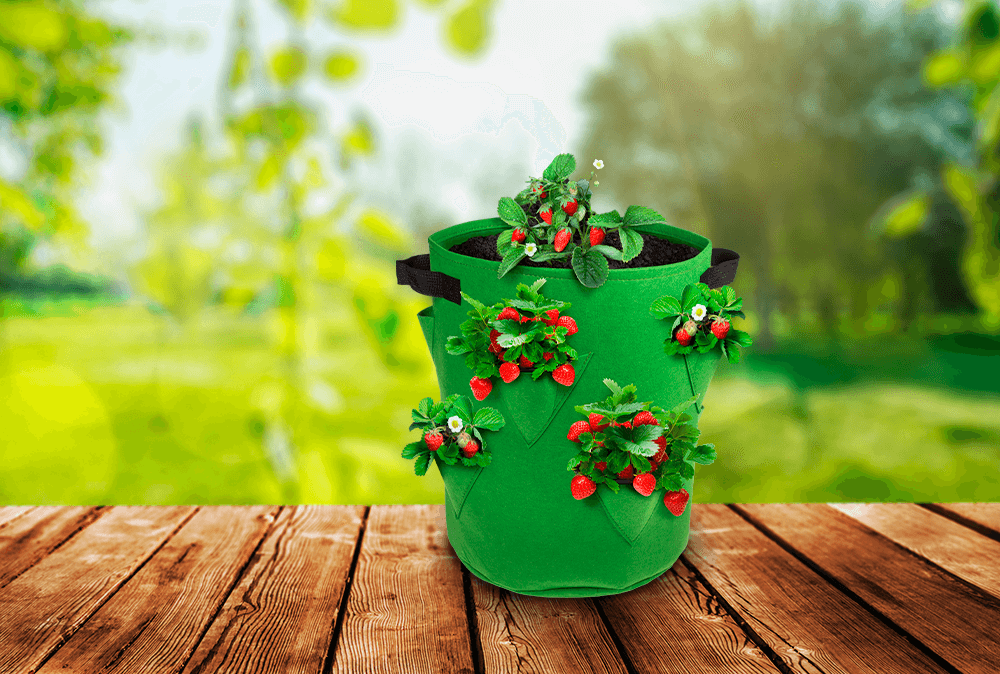 Strawberry Growing bag, with 8 plant pockets,