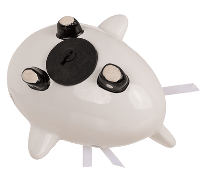 Saving bank, airplane, Just Married,