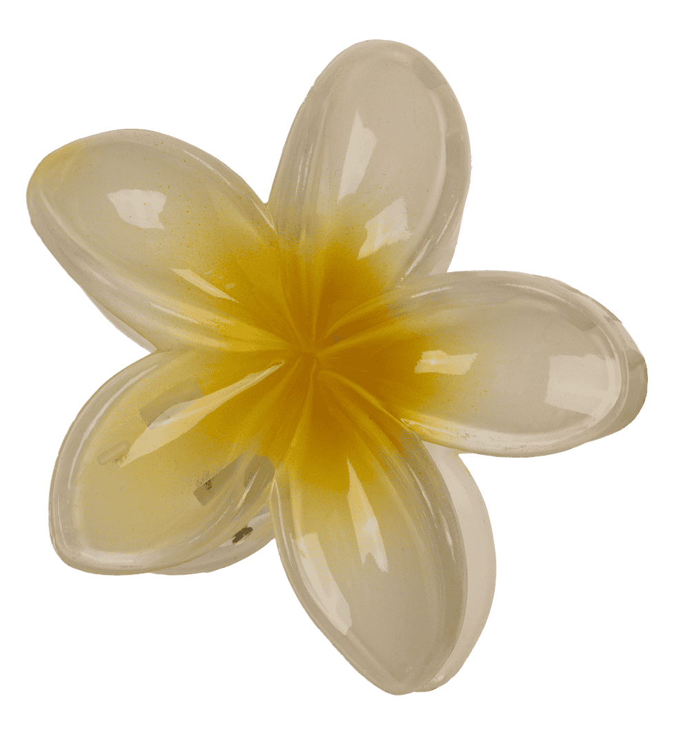 Hair claw, Magnolia,