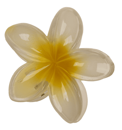 Hair claw, Magnolia,