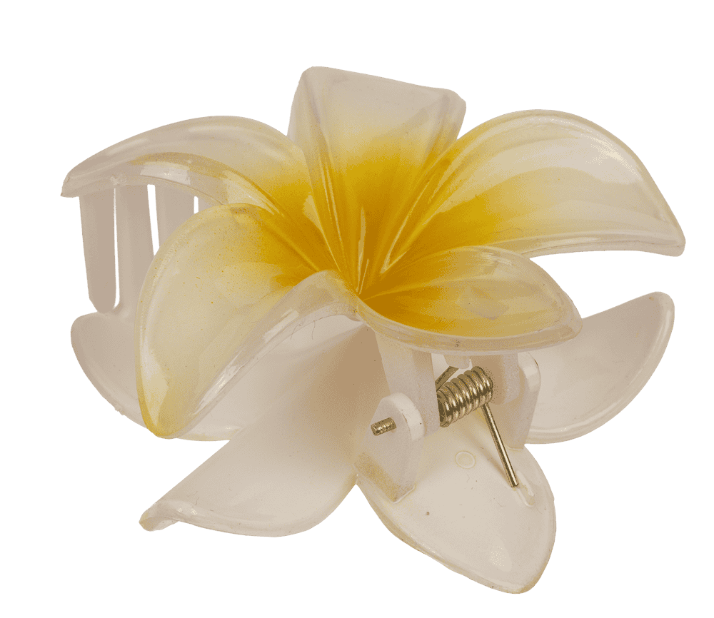 Hair claw, Magnolia,