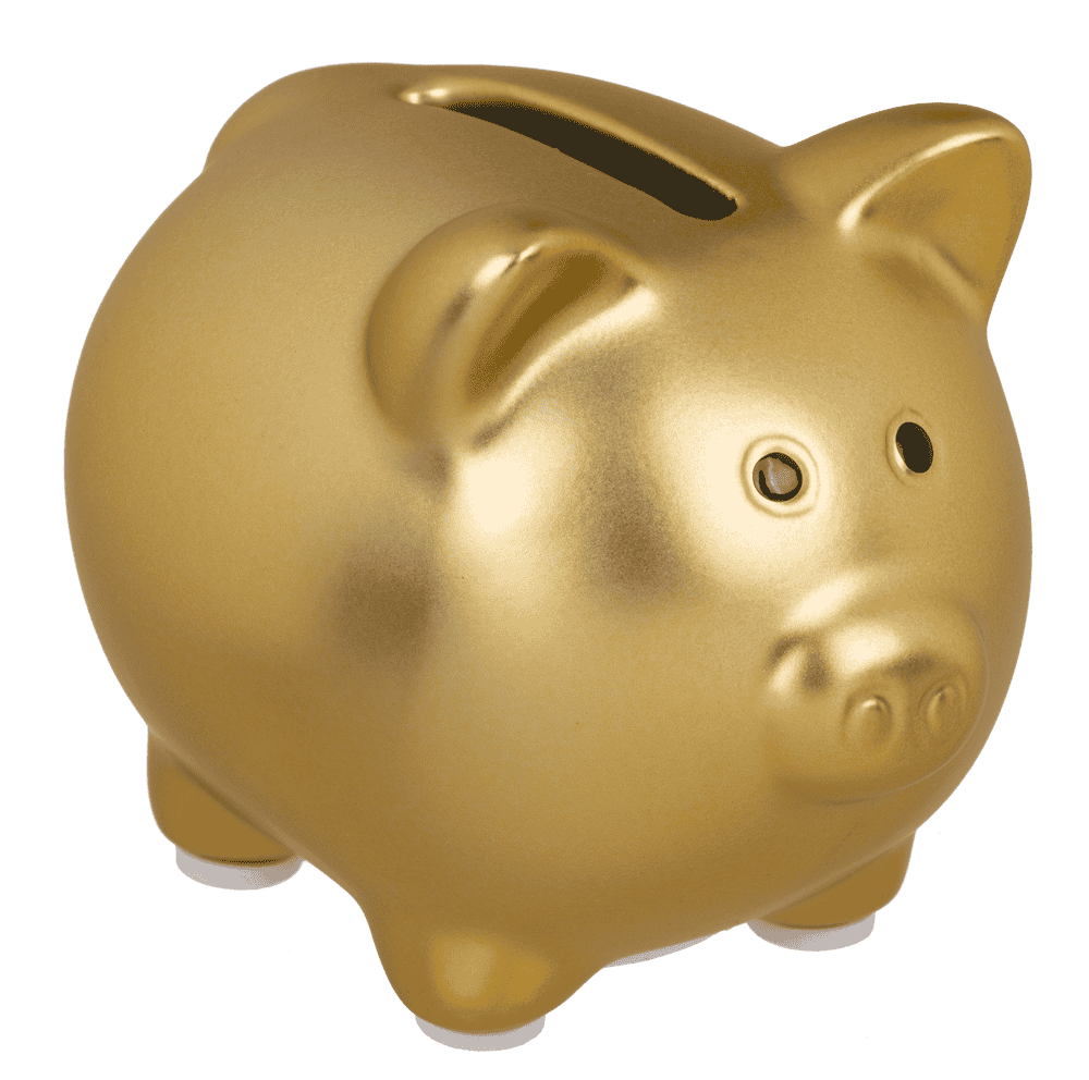 Hucha, cerdito brillante