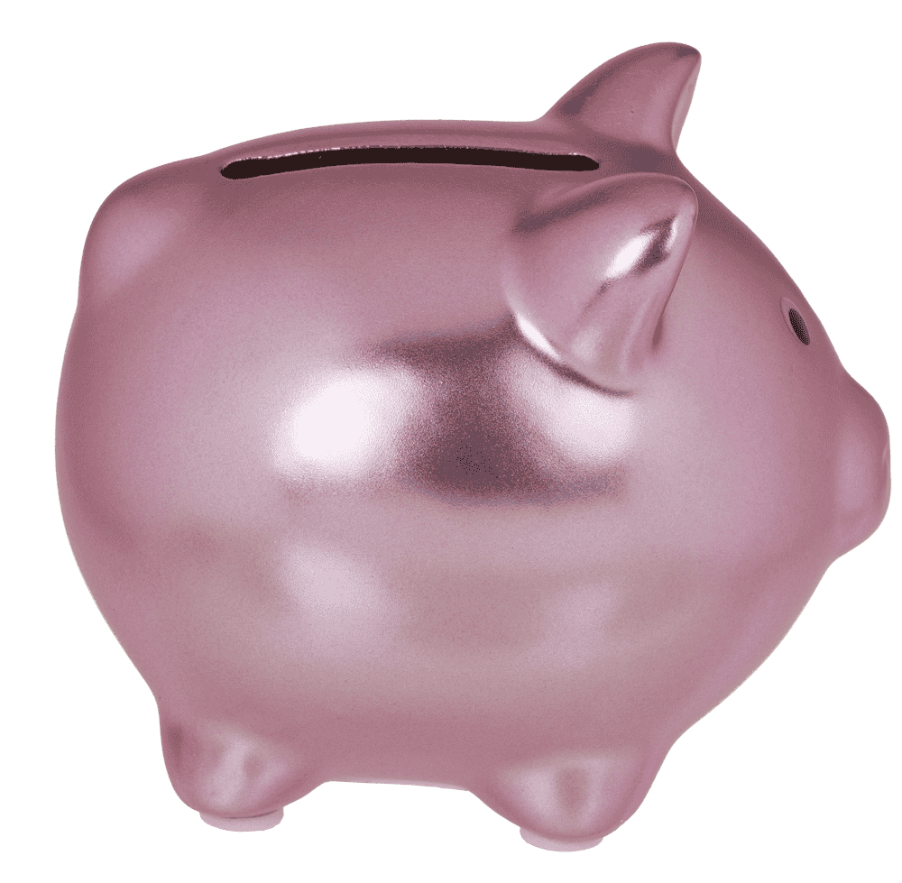 Hucha, cerdito brillante