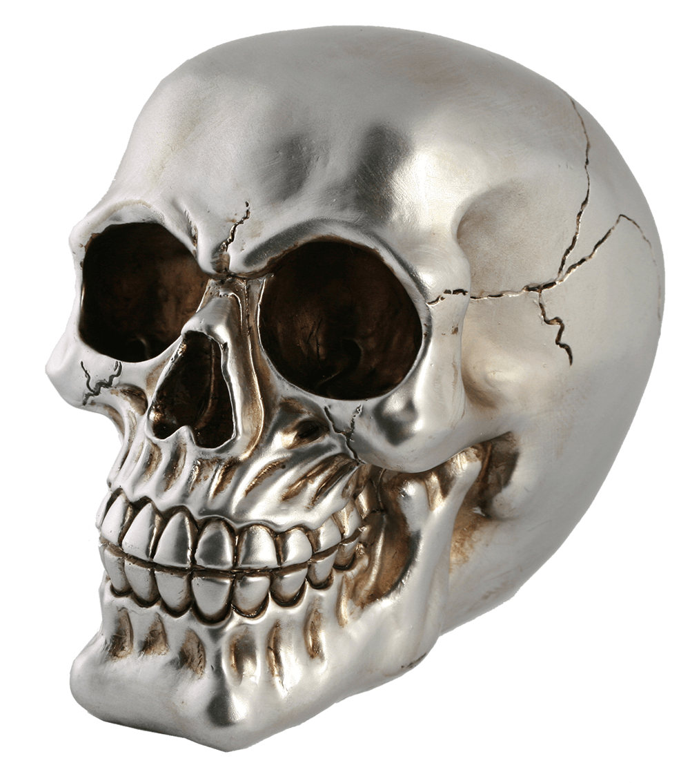 Polyresin savings box with lock, Skull,