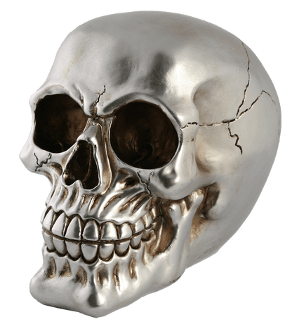 Polyresin savings box with lock, Skull,