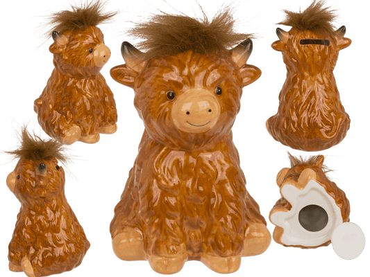 Saving Bank, Highland Cow,