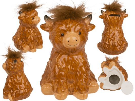 Saving Bank, Highland Cow,