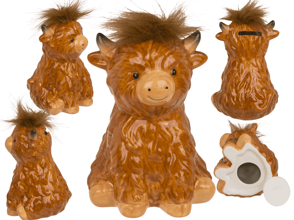 Saving Bank, Highland Cow,