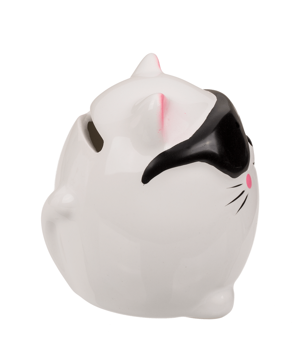 Savings bank, Kitten,