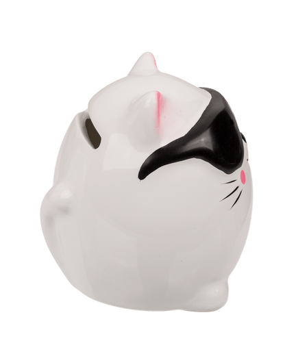 Savings bank, Kitten,