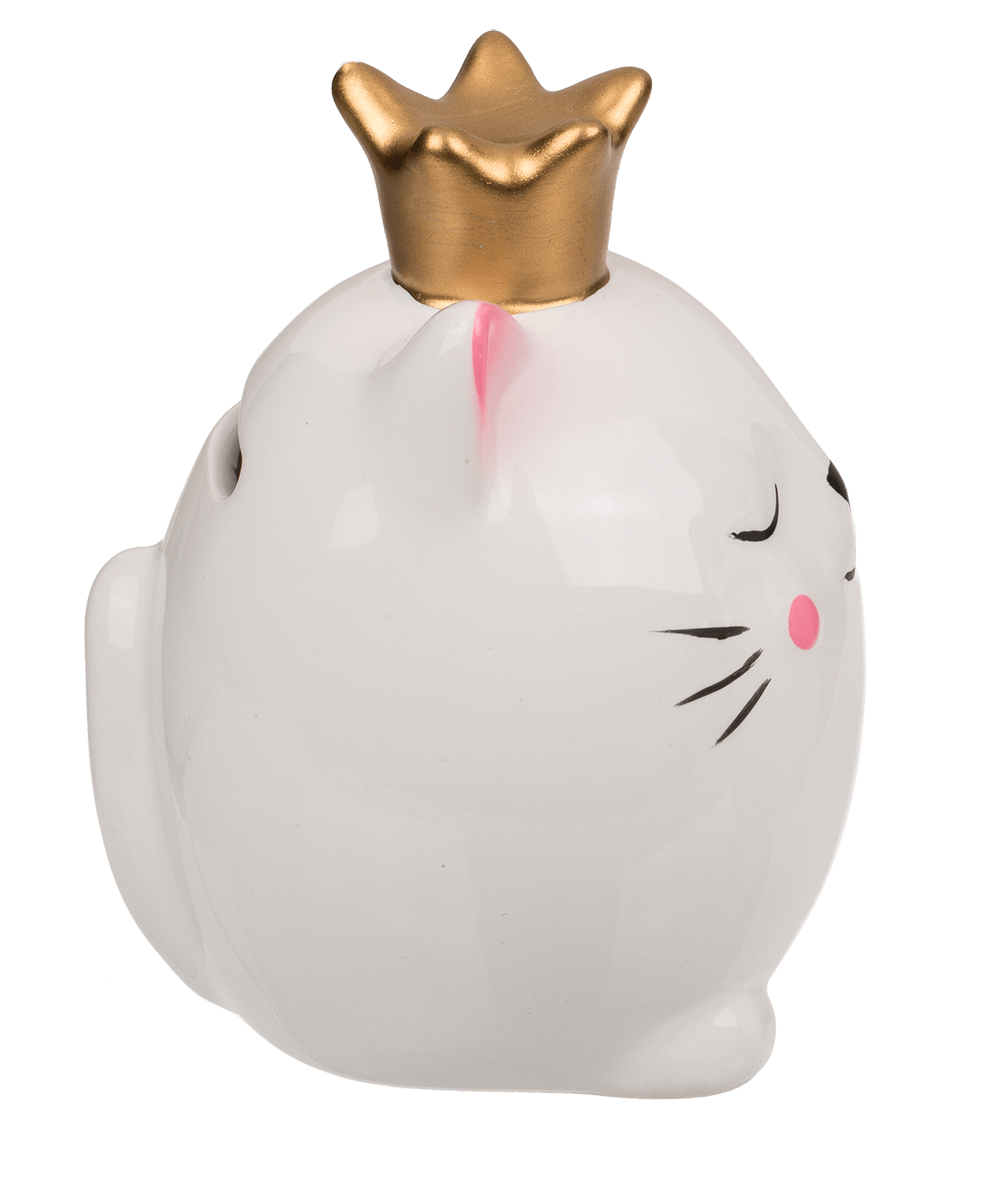 Savings bank, Kitten,