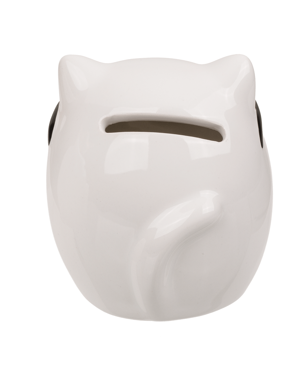 Savings bank, Kitten,