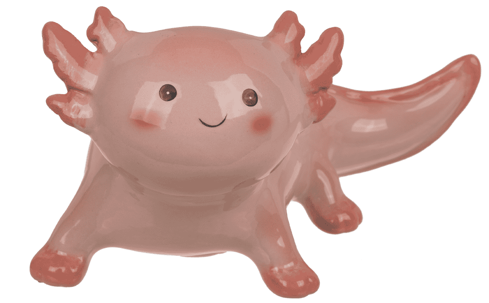Money box, axolotl, ceramic, 17 x 11 cm,