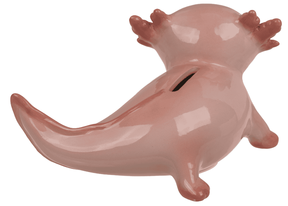 Money box, axolotl, ceramic, 17 x 11 cm,