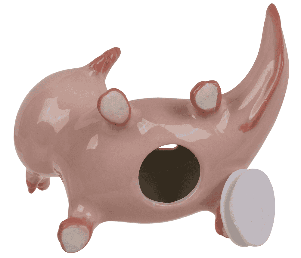 Money box, axolotl, ceramic, 17 x 11 cm,