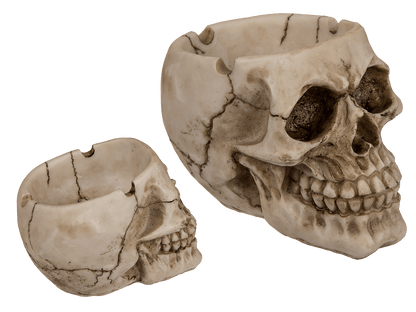 Polyresin ashtray, Skull,